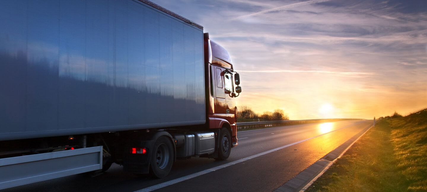 Дельфиндік пенис